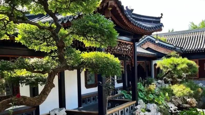 必一·运动 Bsports 新闻资讯苗木行情配图