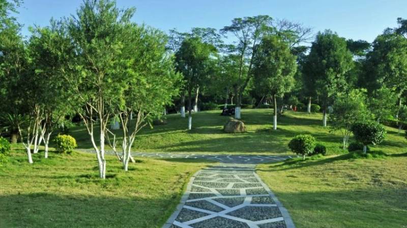 必一·运动 Bsports 市政道路绿化项目服务配图