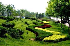 今年会jinnianhui 奉贤城市绿化带种植什么植物比较好
